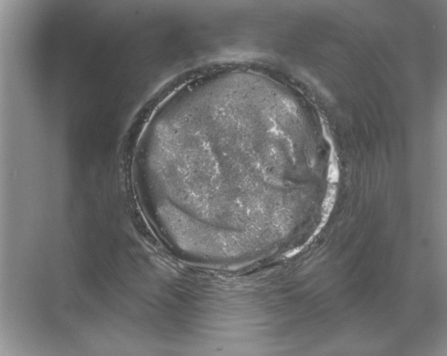 X0000068891208200606021910