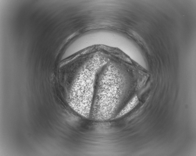 X0000068891210200606021910