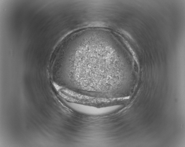 X0000068891212200606021910