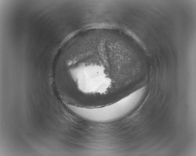 X0000068891213200606021910