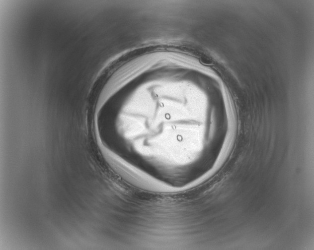 X0000068891214200606021910