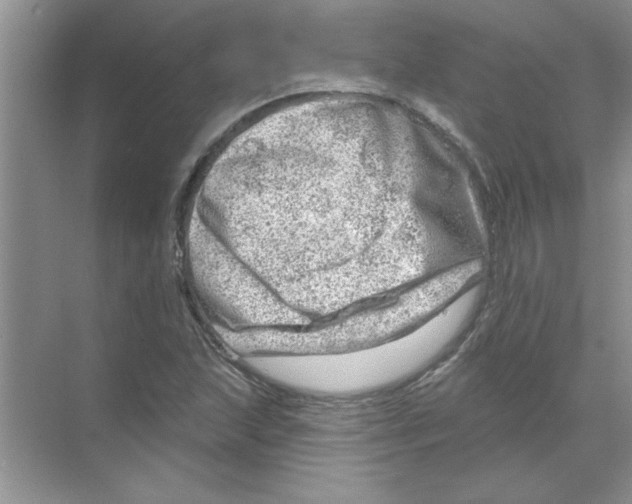 X0000068891215200606021910