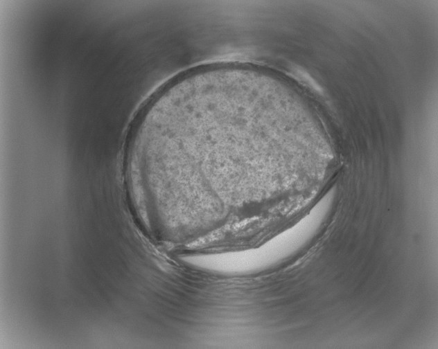 X0000068891216200606021910