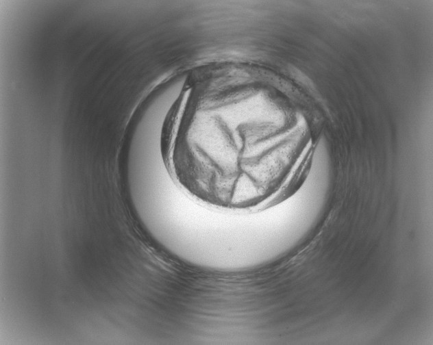 X0000068891218200606021910