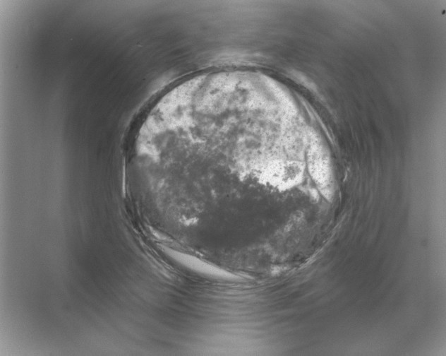 X0000068891219200606021911