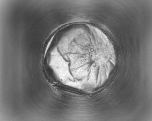 X0000068891220200606021911