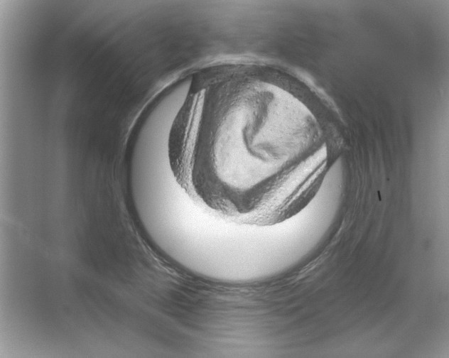 X0000068891221200606021911