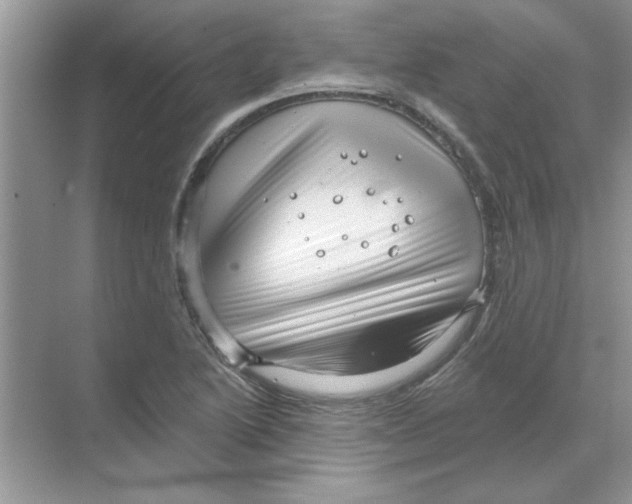 X0000068891222200606021911