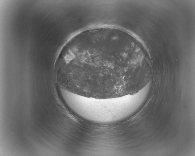 X0000068891223200606021911