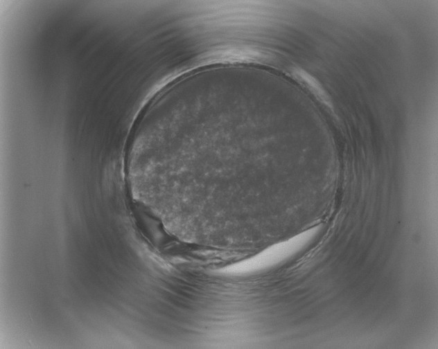 X0000068891226200606021911