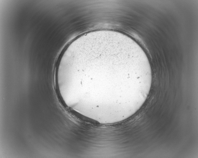 X0000068891227200606021911