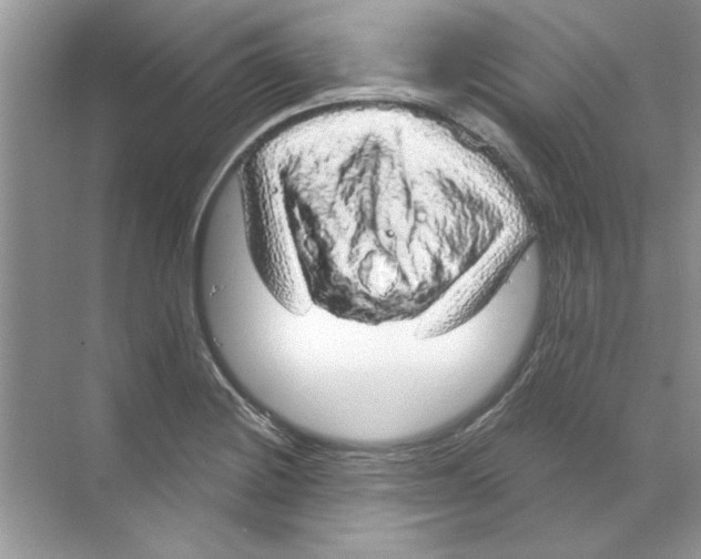 X0000068891228200606021911