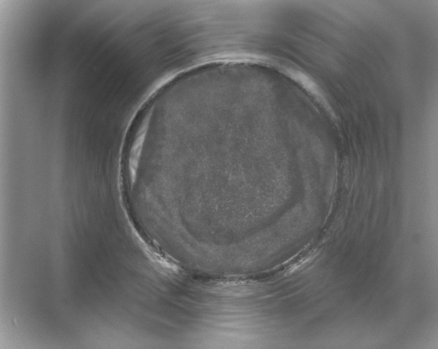 X0000068891229200606021911