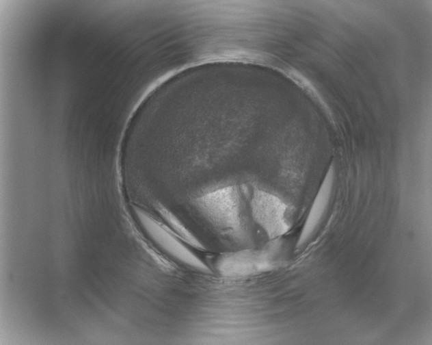 X0000068891230200606021911