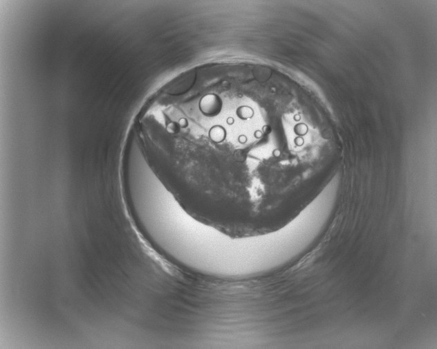 X0000068891231200606021911