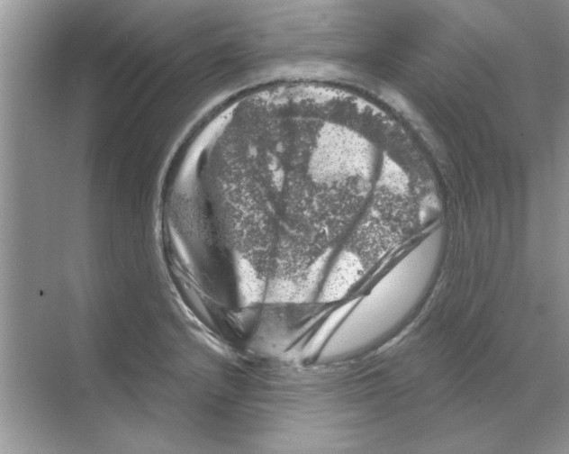 X0000068891232200606021911