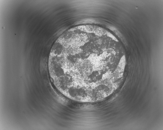 X0000068891233200606021911