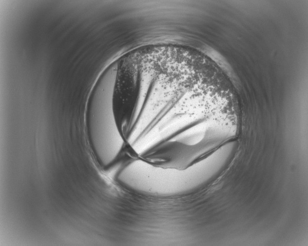 X0000068891234200606021911