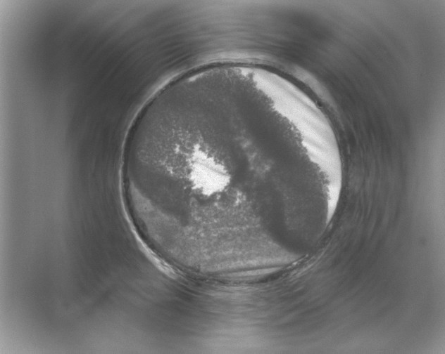 X0000068891237200606021911