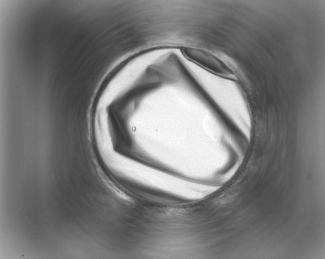 X0000068891238200606021911