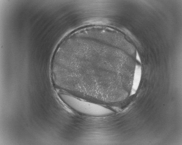 X0000068891240200606021911