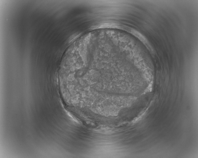 X0000068891241200606021911