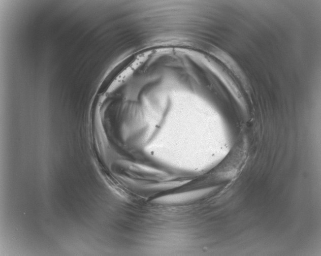 X0000068891242200606021911