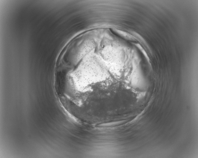 X0000068891244200606021911