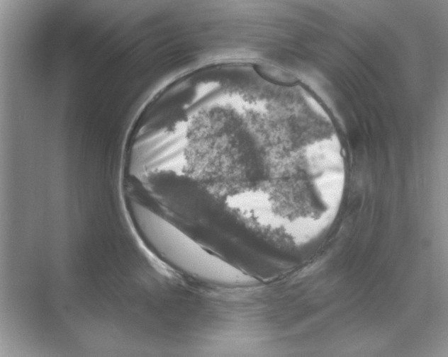 X0000068891245200606021911