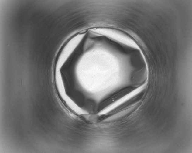 X0000068891246200606021911