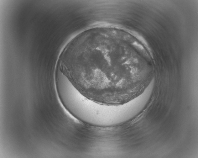 X0000068891247200606021911