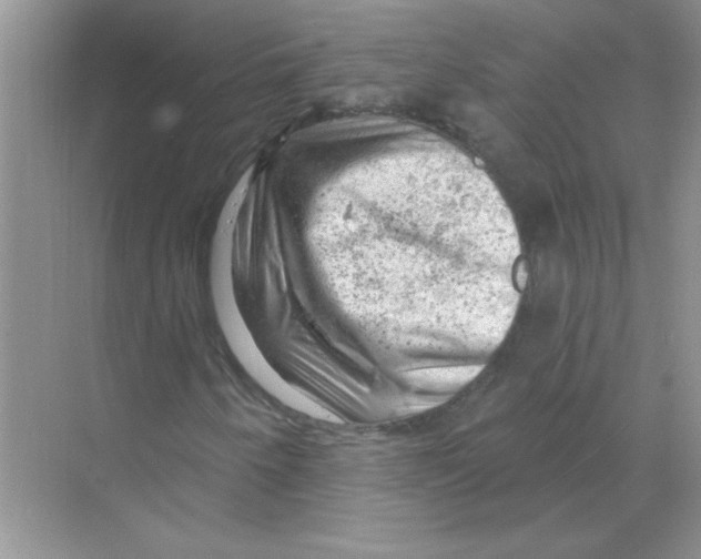 X0000068891250200606021910