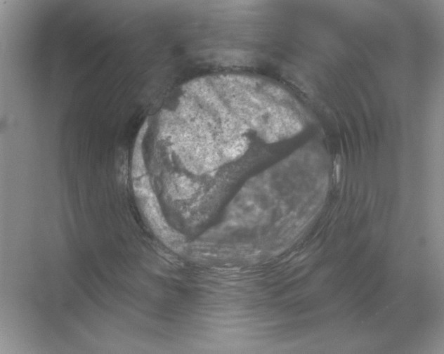 X0000068891251200606021910