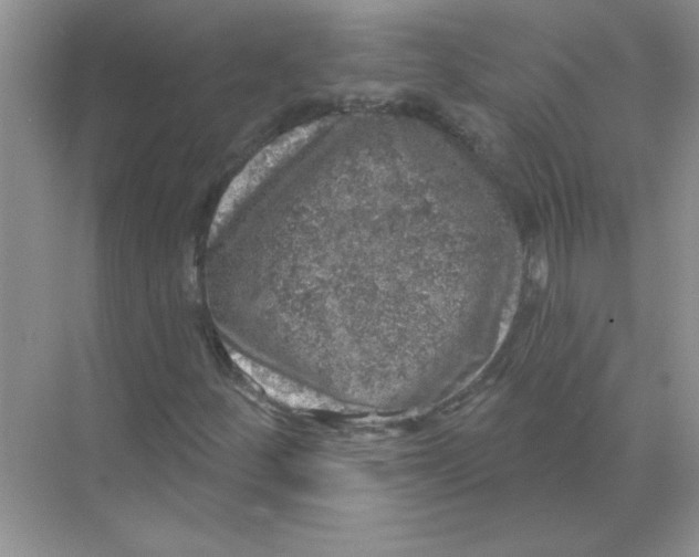 X0000068891252200606021910