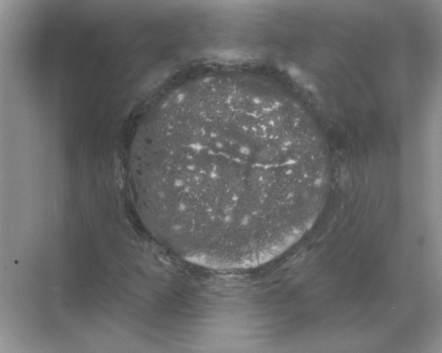 X0000068891253200606021910