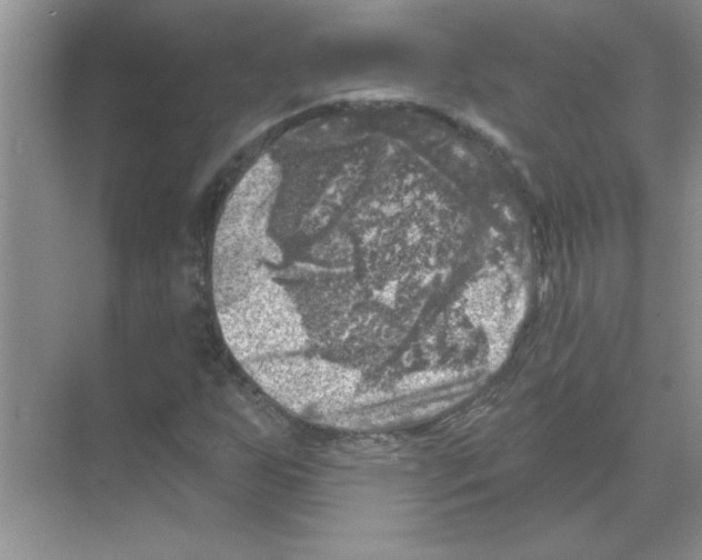 X0000068891255200606021910