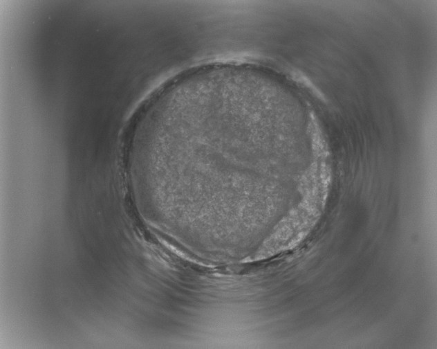 X0000068891256200606021910