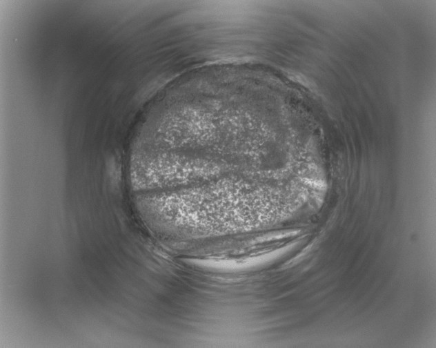 X0000068891257200606021910