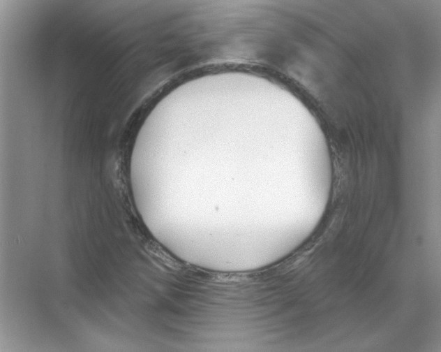 X0000068891258200606021910