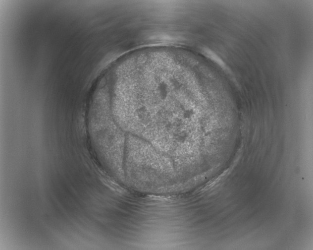 X0000068891259200606021910