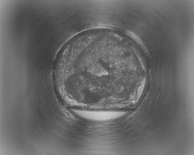 X0000068891260200606021910