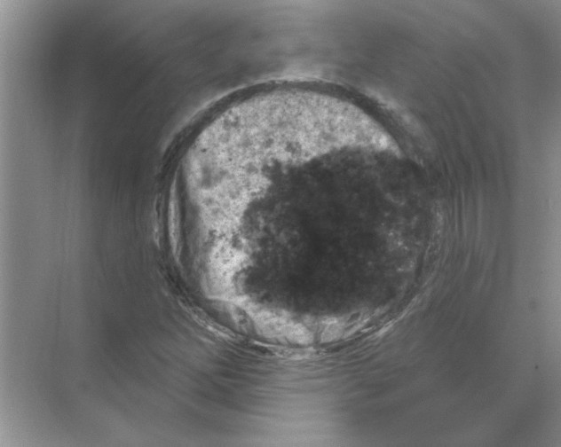 X0000068891262200606021910