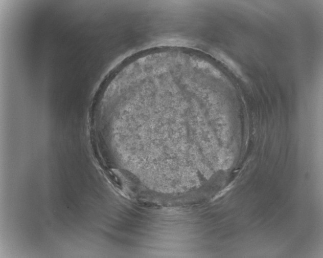 X0000068891264200606021910