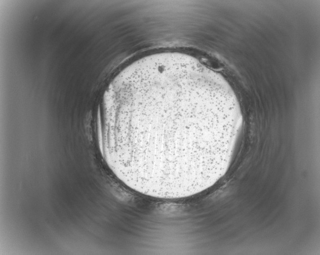 X0000068891265200606021910