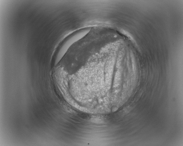 X0000068891267200606021910