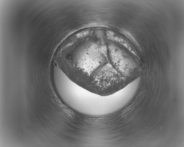 X0000068891268200606021910