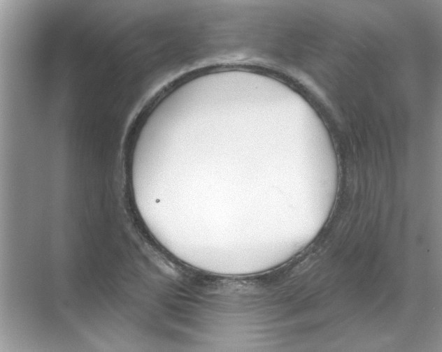 X0000068891270200606021910