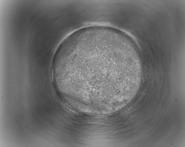 X0000068891271200606021910