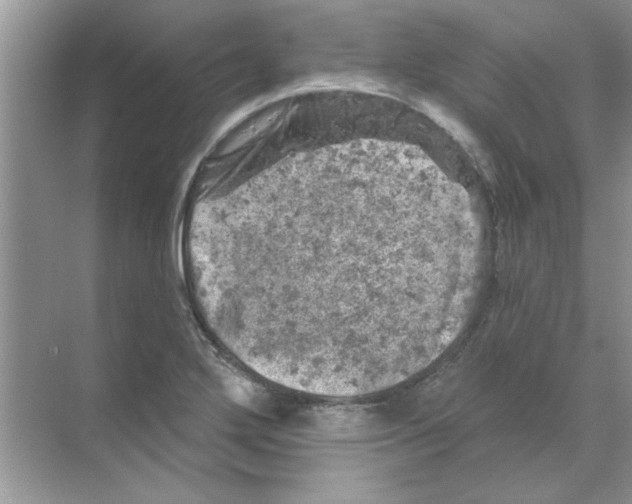 X0000068891272200606021910