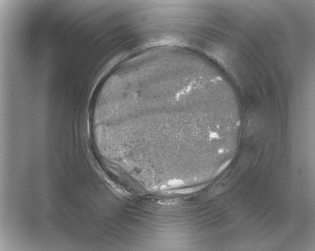 X0000068891274200606021910